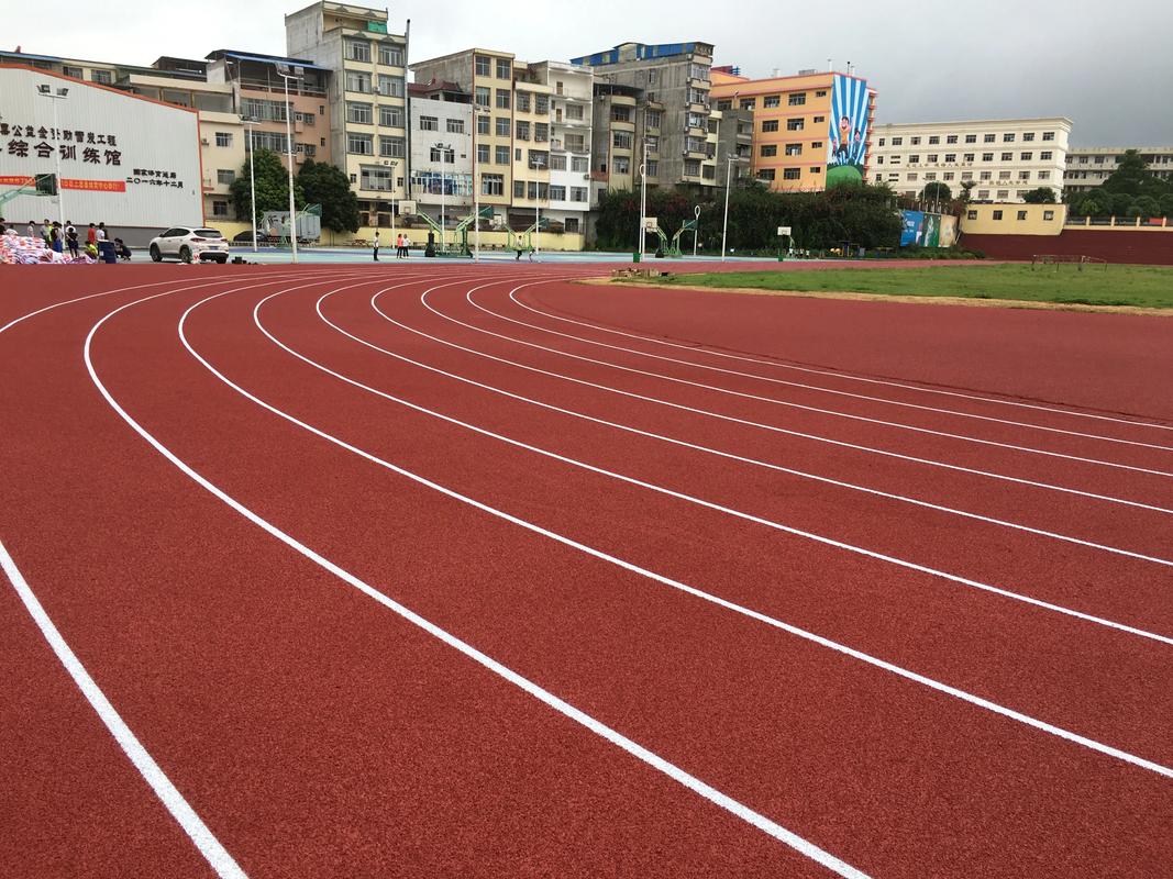 拉萨市人造草坪塑胶跑道材料 - 排名